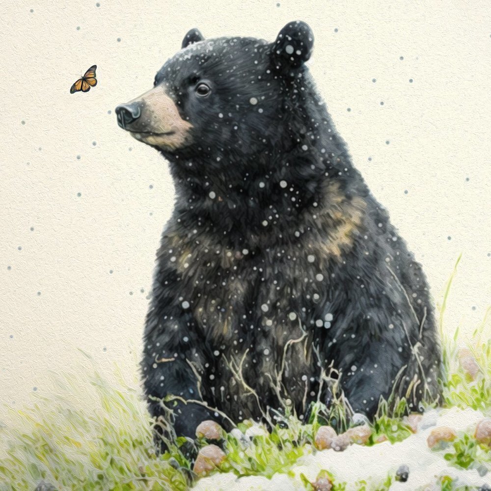 Black Bear with Butterfly Watercolor Oil Painting Print - Picture 4 of 5